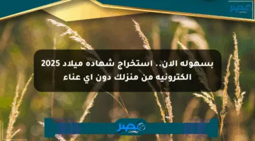 بسهولة الآن.. استخراج شهادة ميلاد 2025 إلكترونية من منزلك دون أي عناء